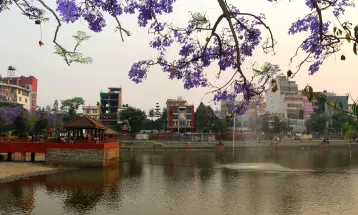 Jacaranda Trees Transform Kathmandu into a Purple Paradise