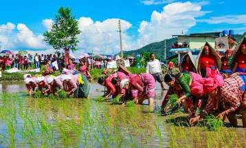 Asar 15: A Cultural Marker of Nepal's Agrarian Society